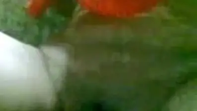 Tante Nyuci V